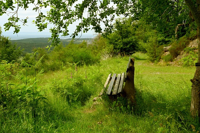 冰雪运动一 冰雪运动一