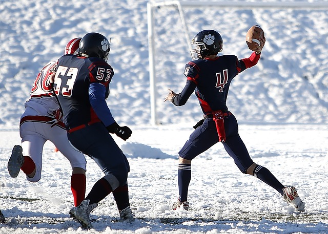 的新兴力量 的新兴力量