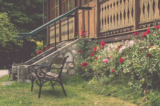 态和出色的 态和出色的